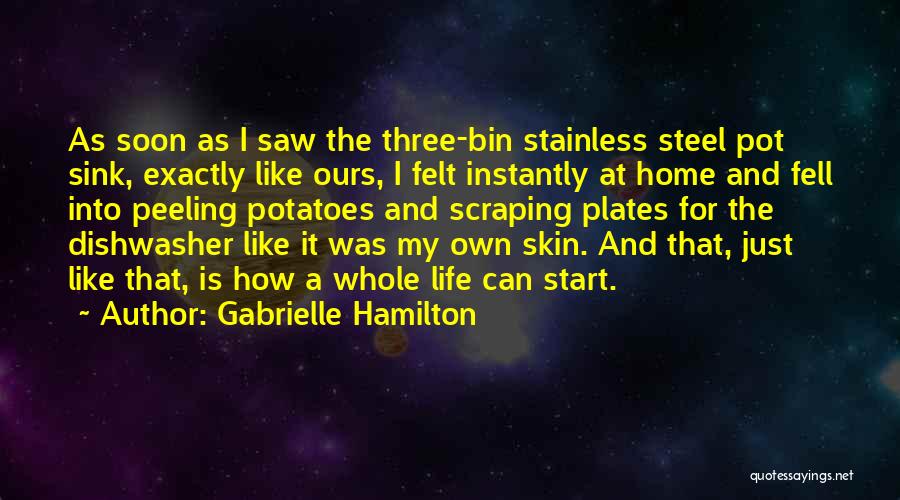 Felt Like Home Quotes By Gabrielle Hamilton