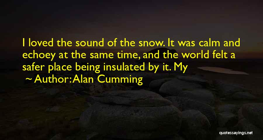 Felt Loved Quotes By Alan Cumming