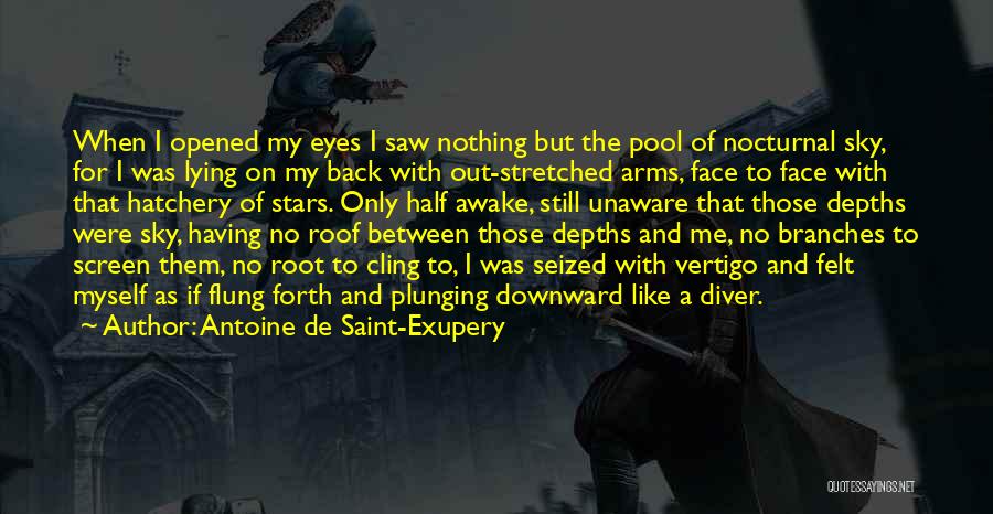Felt Nothing Quotes By Antoine De Saint-Exupery