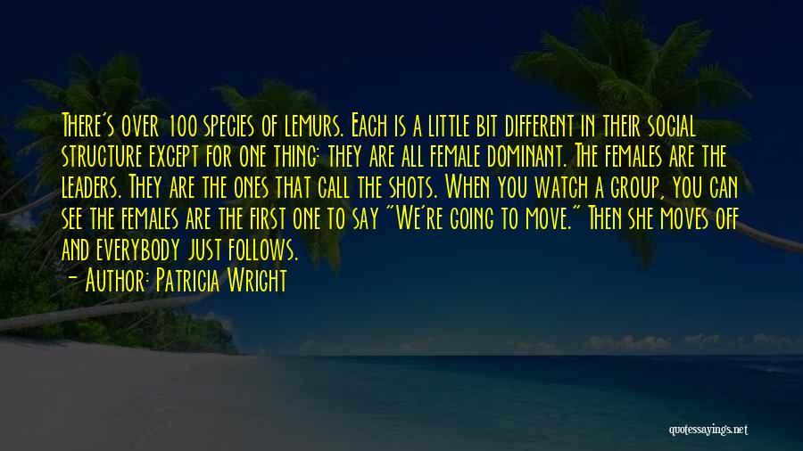 Female Leaders Quotes By Patricia Wright