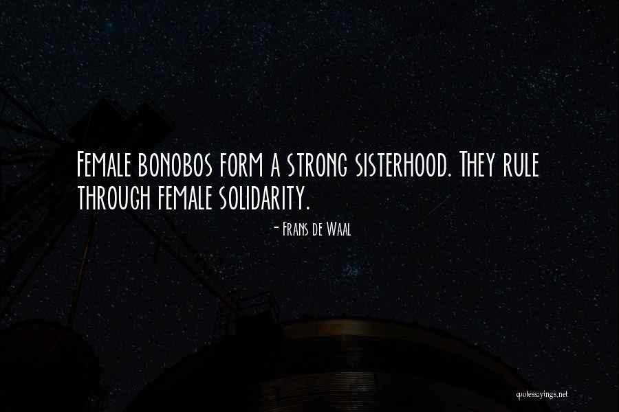 Female Solidarity Quotes By Frans De Waal Female Solidarity Quotes By Frans De Waal