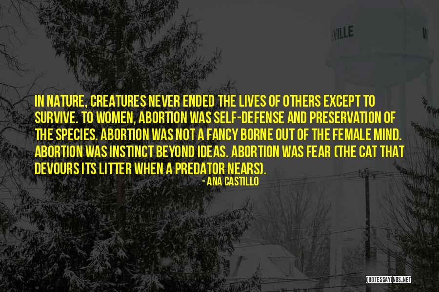 Female Species Quotes By Ana Castillo Female Species Quotes By Ana Castillo