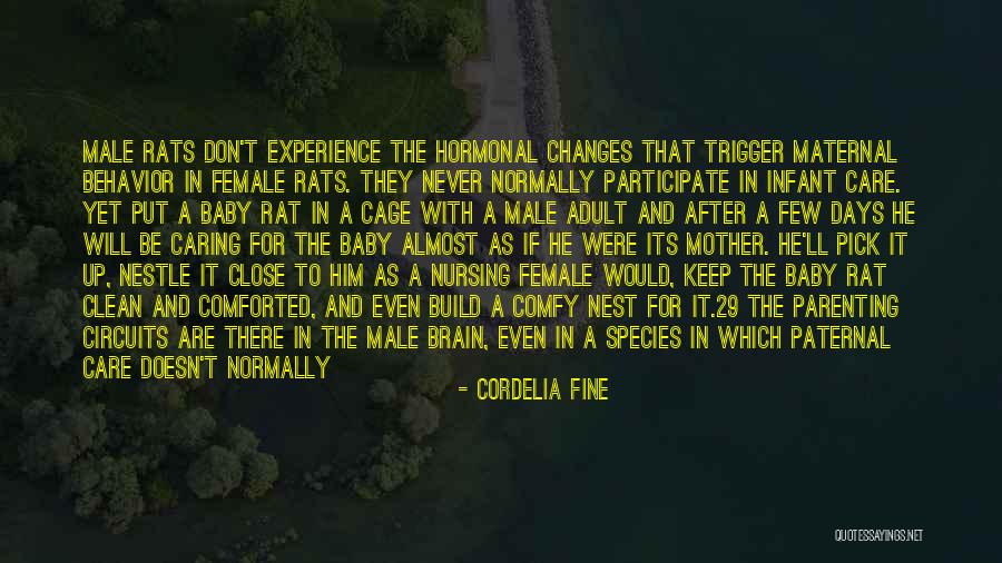 Female Species Quotes By Cordelia Fine Female Species Quotes By Cordelia Fine