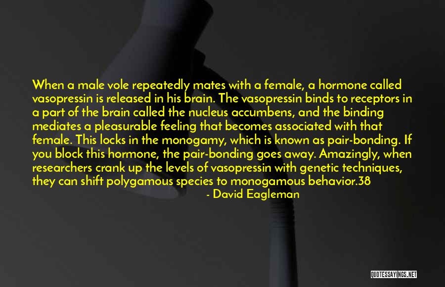 Female Species Quotes By David Eagleman Female Species Quotes By David Eagleman