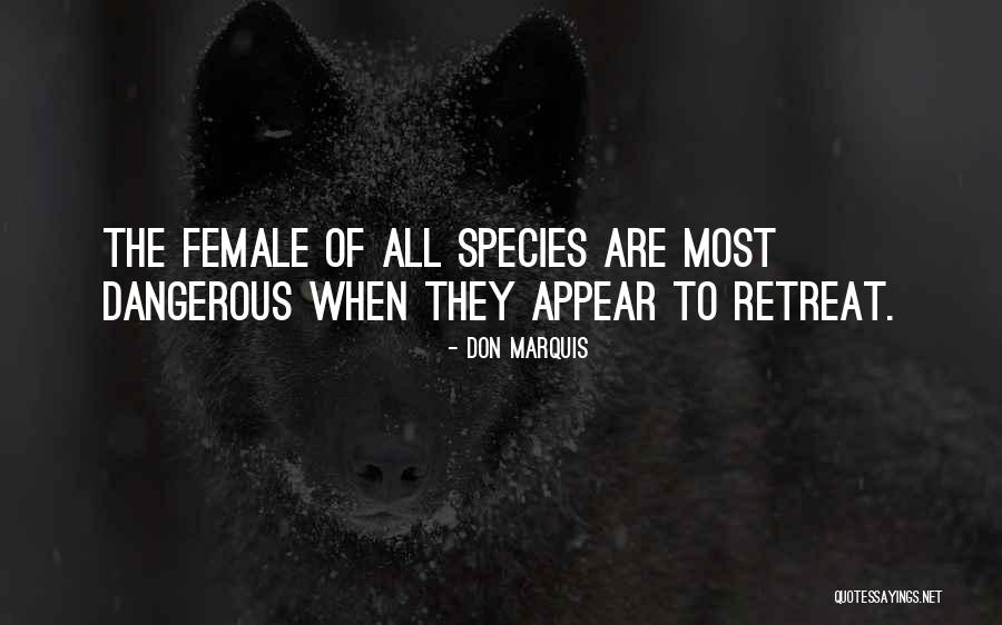 Female Species Quotes By Don Marquis Female Species Quotes By Don Marquis