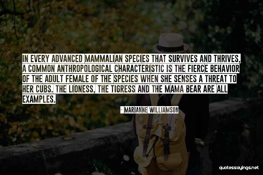 Female Species Quotes By Marianne Williamson Female Species Quotes By Marianne Williamson