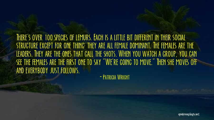 Female Species Quotes By Patricia Wright Female Species Quotes By Patricia Wright