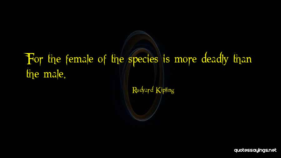 Female Species Quotes By Rudyard Kipling Female Species Quotes By Rudyard Kipling