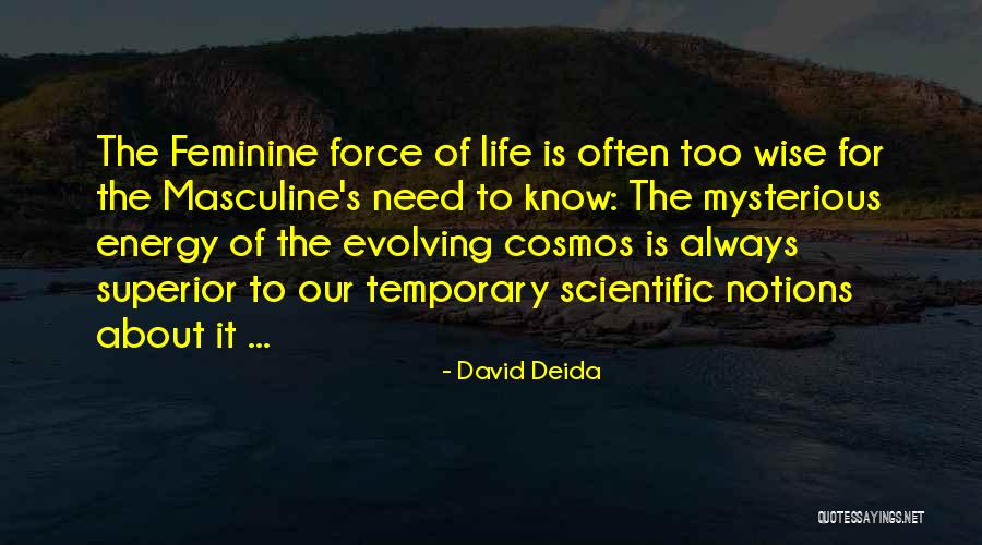 Feminine Energy Quotes By David Deida