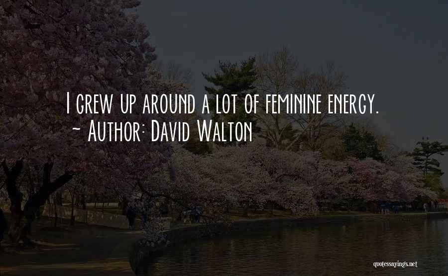 Feminine Energy Quotes By David Walton