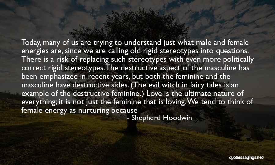 Feminine Energy Quotes By Shepherd Hoodwin