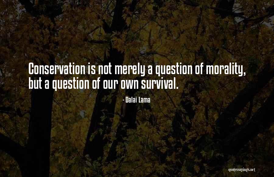 Femtosecond Quotes By Dalai Lama Femtosecond Quotes By Dalai Lama