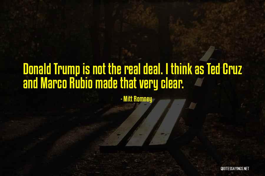 Fenaughty Vineyard Quotes By Mitt Romney Fenaughty Vineyard Quotes By Mitt Romney