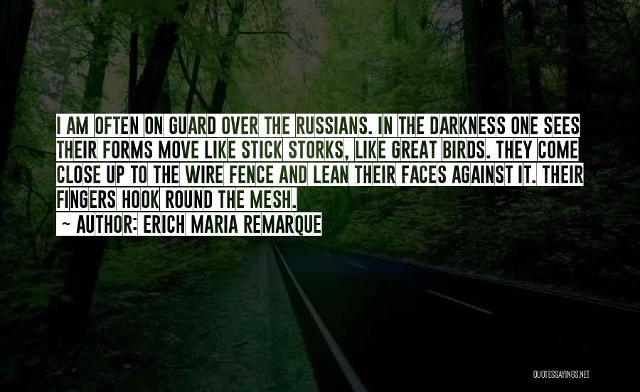 Fence Quotes By Erich Maria Remarque