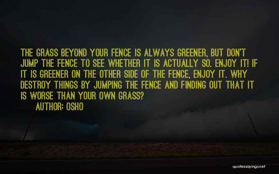 Fence Quotes By Osho
