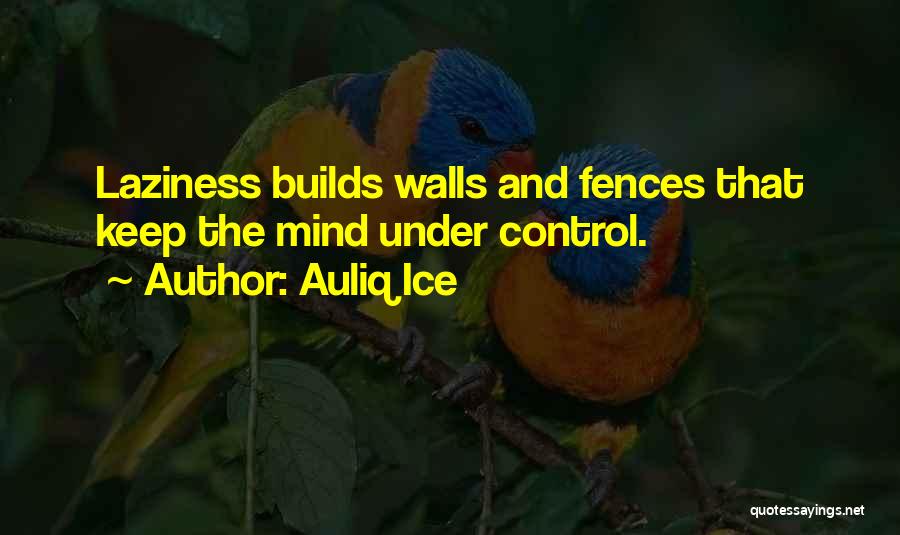 Fences Quotes By Auliq Ice