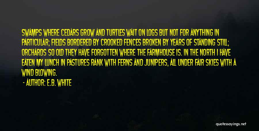 Fences Quotes By E.B. White