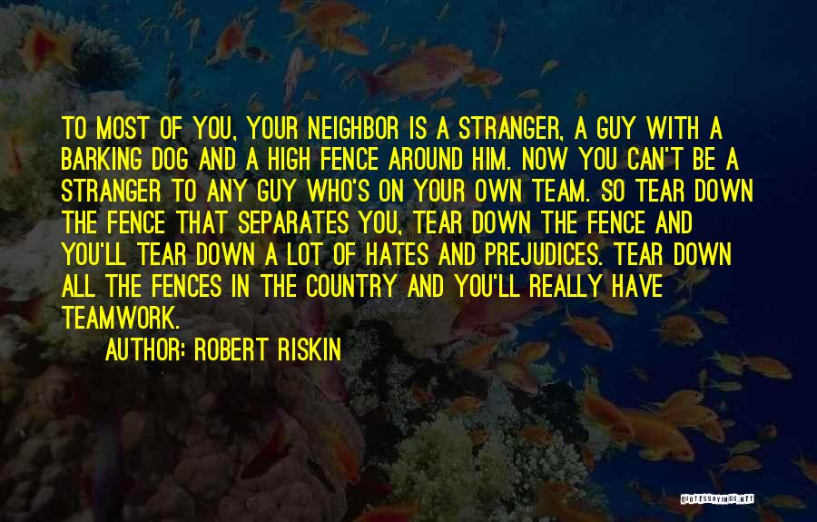 Fences Quotes By Robert Riskin