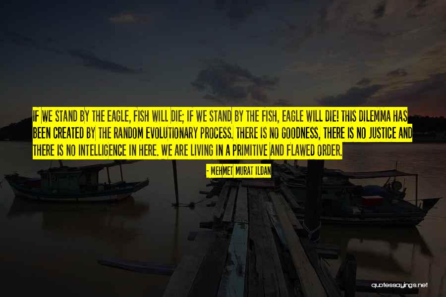 Fender Guitar Quotes By Mehmet Murat Ildan Fender Guitar Quotes By Mehmet Murat Ildan