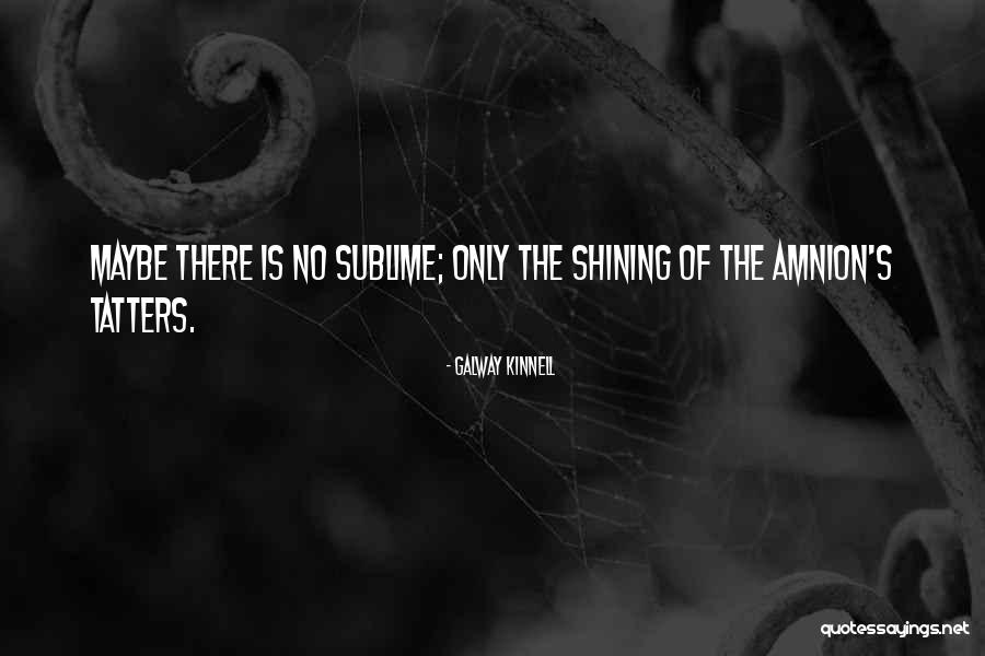 Fenderman Songs Quotes By Galway Kinnell Fenderman Songs Quotes By Galway Kinnell