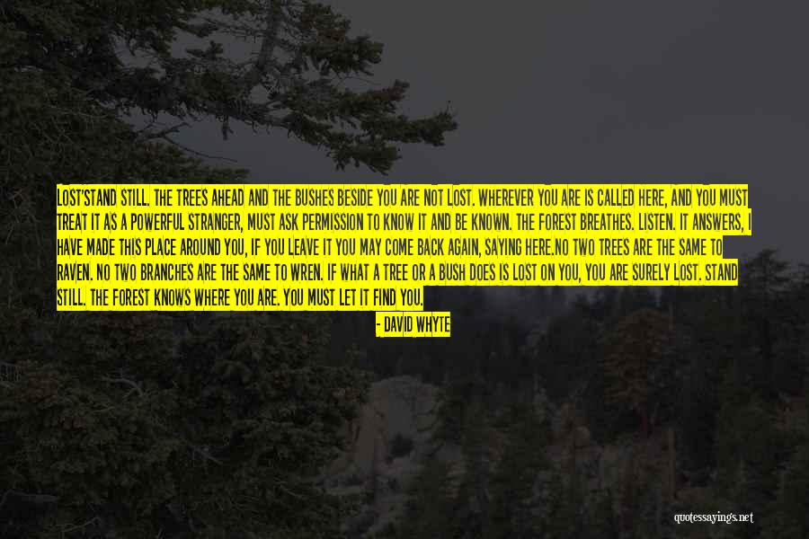 Fends Signature Quotes By David Whyte Fends Signature Quotes By David Whyte