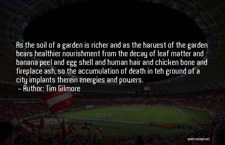 Feng Shui 2 Quotes By Tim Gilmore