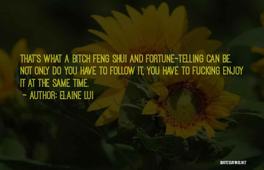Feng Shui Quotes By Elaine Lui