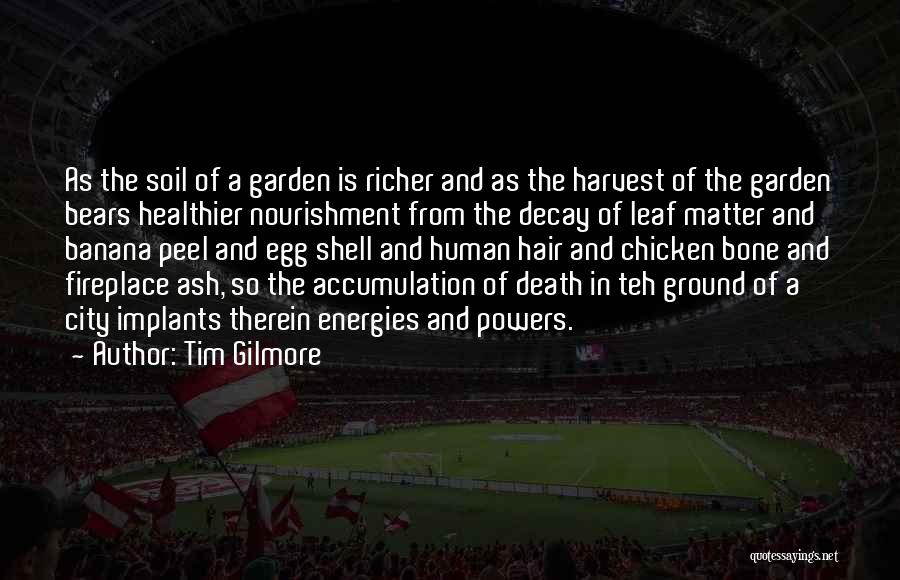 Feng Shui Quotes By Tim Gilmore