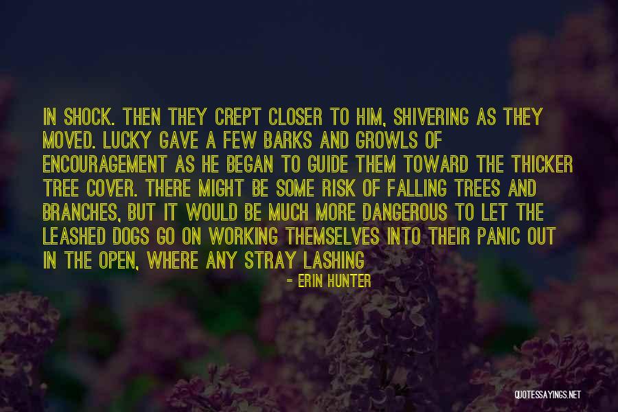 Fennario Band Quotes By Erin Hunter Fennario Band Quotes By Erin Hunter