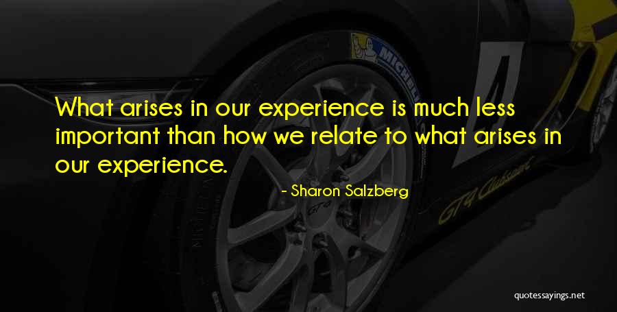Fenners Quotes By Sharon Salzberg Fenners Quotes By Sharon Salzberg