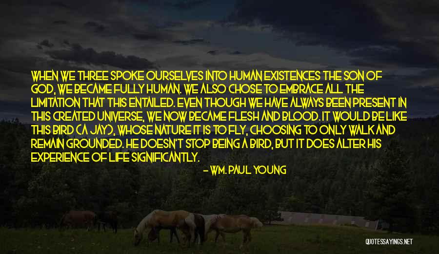 Feragat Etmek Quotes By Wm. Paul Young Feragat Etmek Quotes By Wm. Paul Young