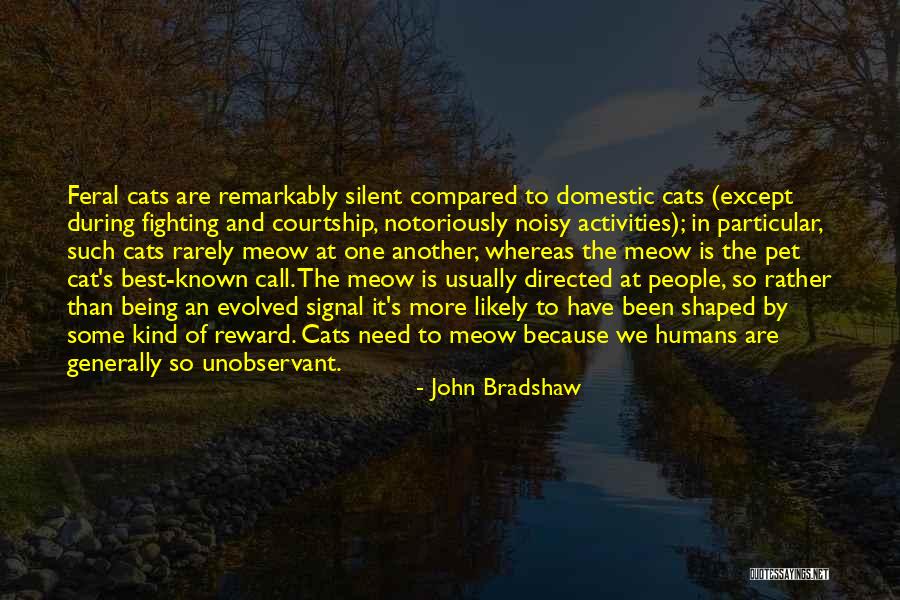 Feral Cat Quotes By John Bradshaw