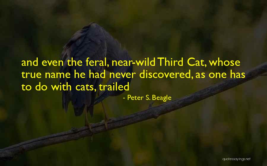 Feral Cat Quotes By Peter S. Beagle