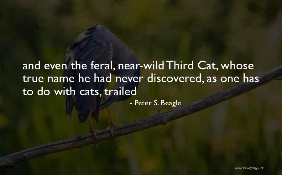 Feral Quotes By Peter S. Beagle