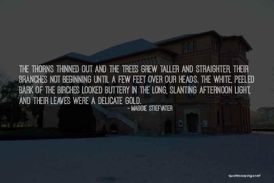 Ferdinando Cito Quotes By Maggie Stiefvater Ferdinando Cito Quotes By Maggie Stiefvater
