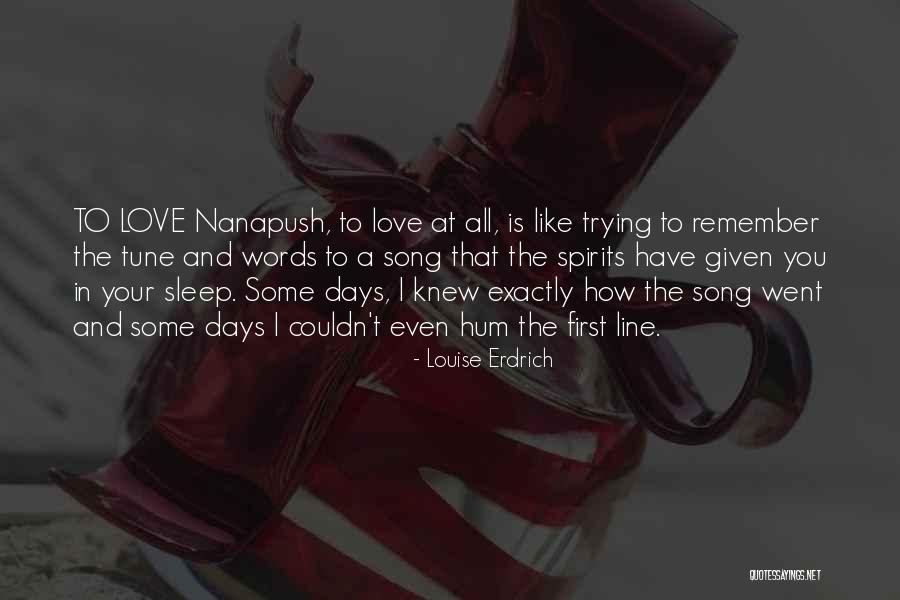 Ferdinandus Van Quotes By Louise Erdrich Ferdinandus Van Quotes By Louise Erdrich