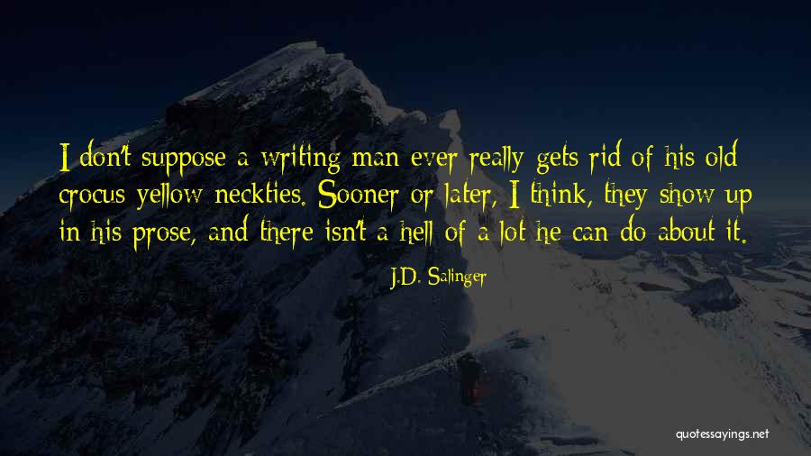 Ferdousi Quotes By J.D. Salinger Ferdousi Quotes By J.D. Salinger