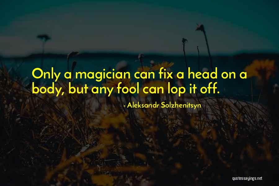 Feridas Asseptecas Quotes By Aleksandr Solzhenitsyn