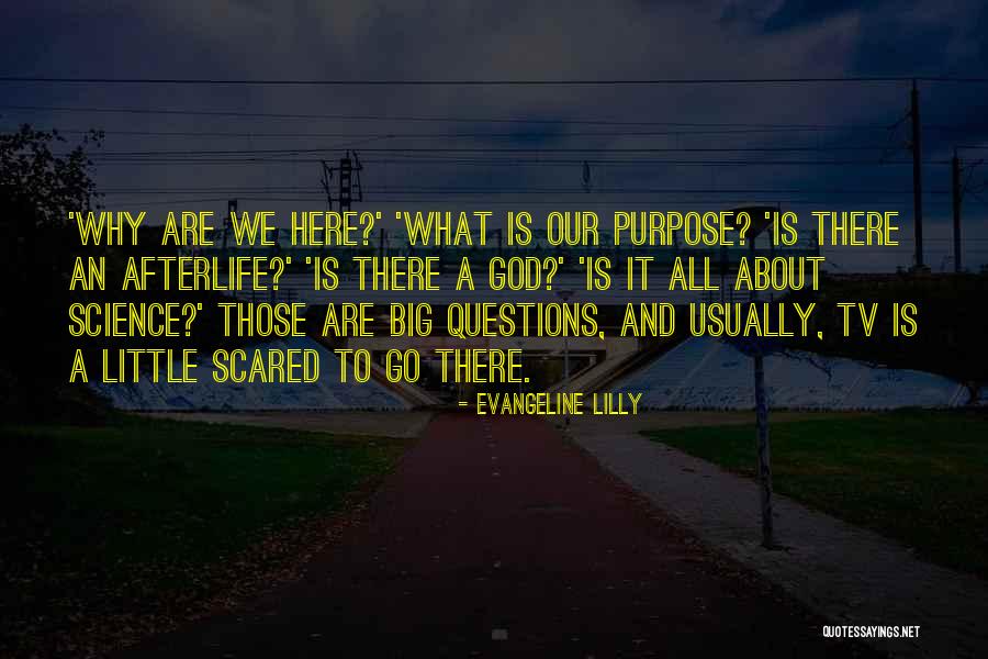 Ferlaino Napoli Quotes By Evangeline Lilly Ferlaino Napoli Quotes By Evangeline Lilly