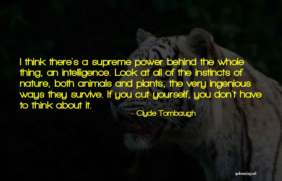 Fermentation Of Whiskey Quotes By Clyde Tombaugh Fermentation Of Whiskey Quotes By Clyde Tombaugh