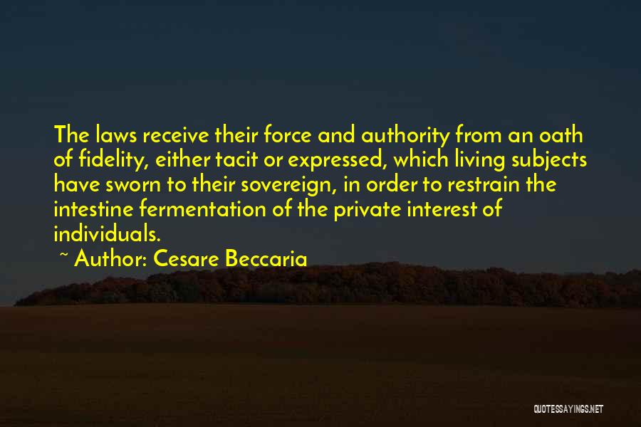 Fermentation Quotes By Cesare Beccaria