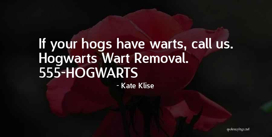 Fermetures Des Quotes By Kate Klise Fermetures Des Quotes By Kate Klise
