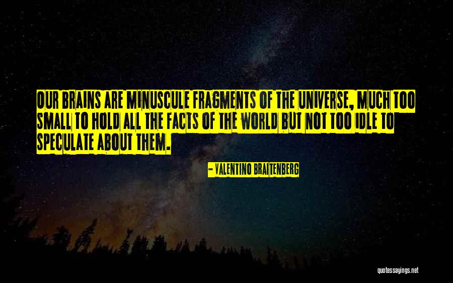 Fernandes Sustainer Quotes By Valentino Braitenberg Fernandes Sustainer Quotes By Valentino Braitenberg