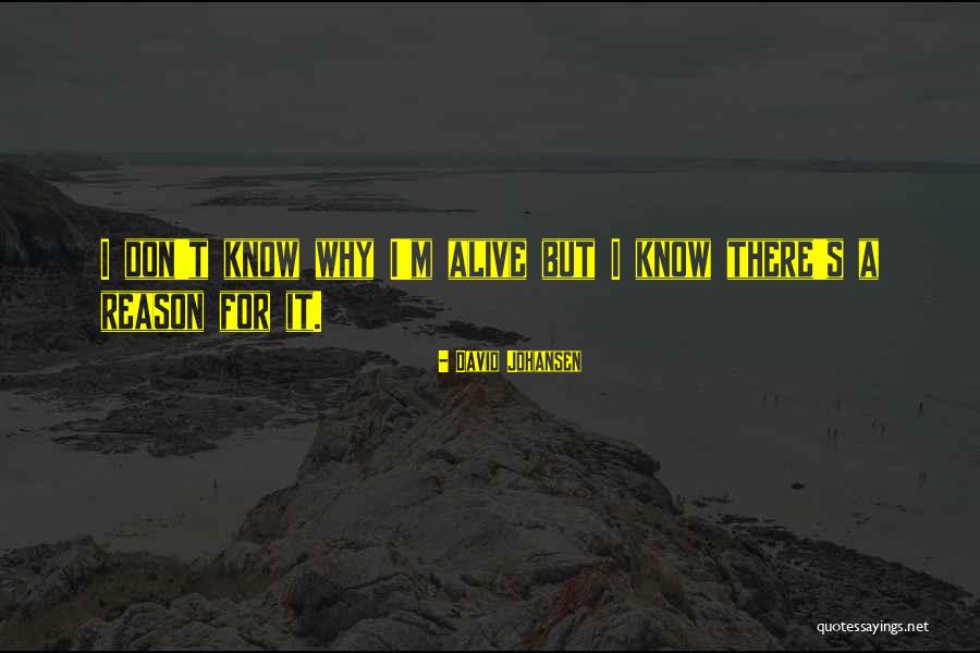Fernholz Foundation Quotes By David Johansen Fernholz Foundation Quotes By David Johansen