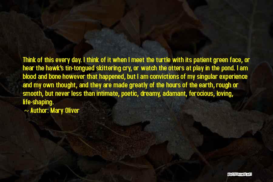 Ferocious Quotes By Mary Oliver