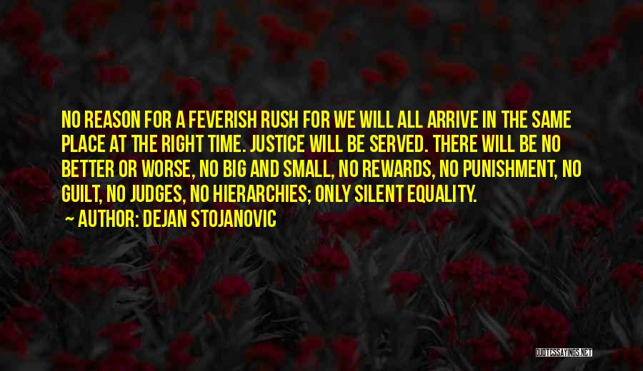 Ferozeshah Quotes By Dejan Stojanovic