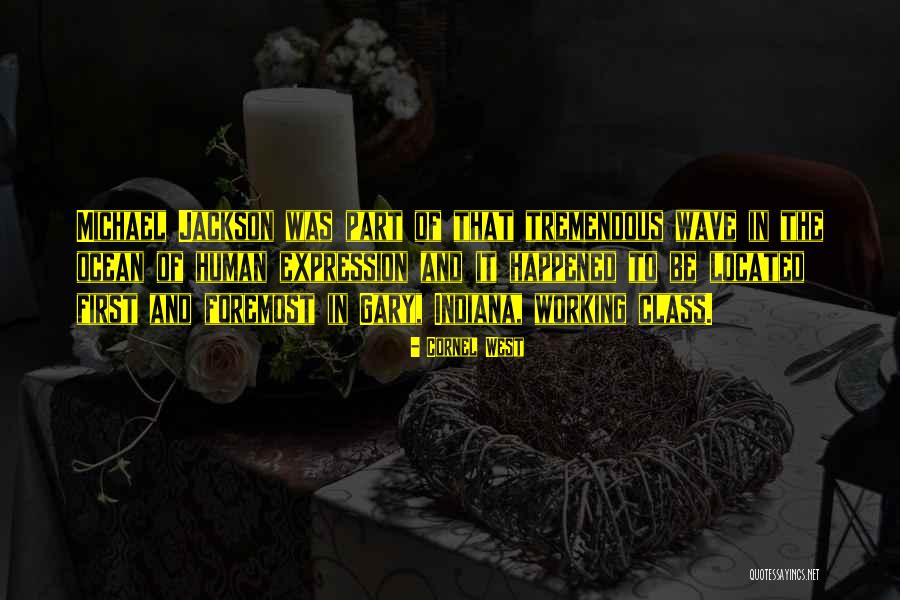 Ferrache Roupas Quotes By Cornel West Ferrache Roupas Quotes By Cornel West