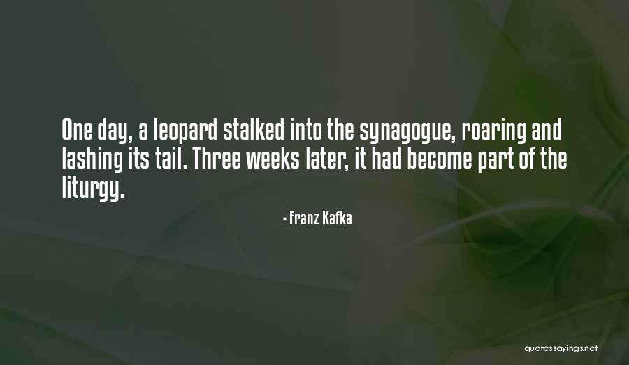 Ferradura Bolo Quotes By Franz Kafka Ferradura Bolo Quotes By Franz Kafka