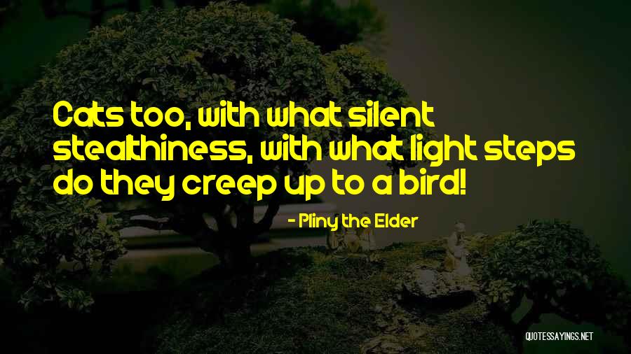 Ferraez Victor Quotes By Pliny The Elder Ferraez Victor Quotes By Pliny The Elder