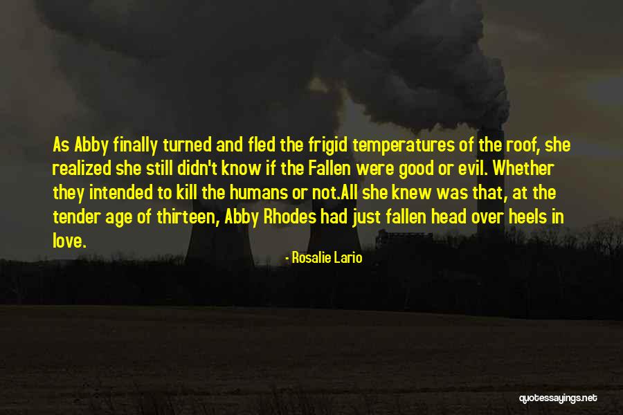 Ferragine Pools Quotes By Rosalie Lario Ferragine Pools Quotes By Rosalie Lario